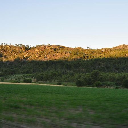 Carapito Pinheirinhos - Quinta De Sao Caetano 빌라 외부 사진