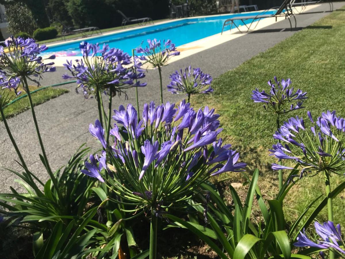 Carapito Pinheirinhos - Quinta De Sao Caetano 빌라 외부 사진