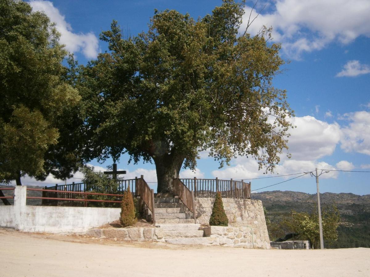 Carapito Pinheirinhos - Quinta De Sao Caetano 빌라 외부 사진