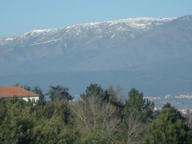 Carapito Pinheirinhos - Quinta De Sao Caetano 빌라 외부 사진