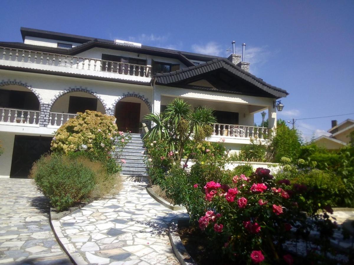 Carapito Pinheirinhos - Quinta De Sao Caetano 빌라 외부 사진