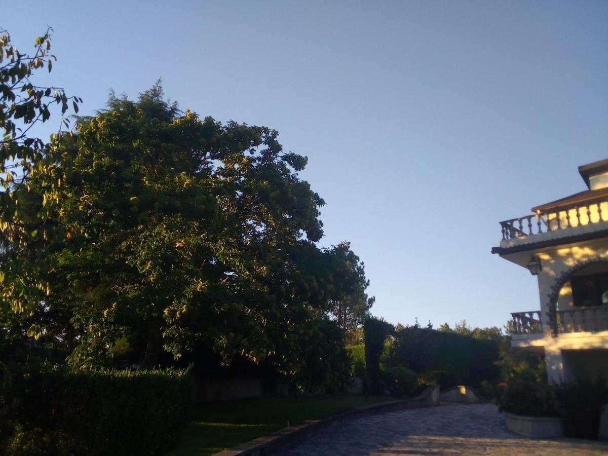Carapito Pinheirinhos - Quinta De Sao Caetano 빌라 외부 사진